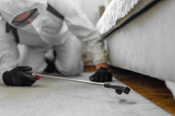 Professional Termite Control technician working in Algona, IA